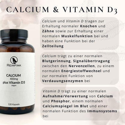 Funktionen von Calcium und Vitamin D für Knochen und Muskeln